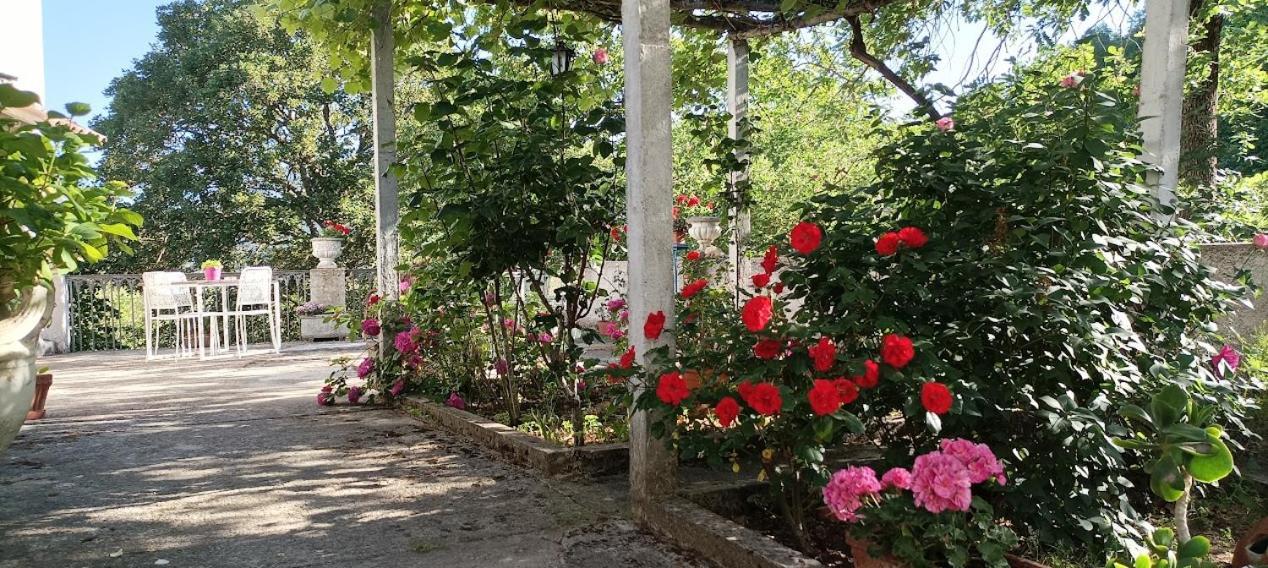 Casavacanze La Vigna Arenabianca Εξωτερικό φωτογραφία